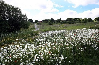 Building affordable housing options in Sheffield Image