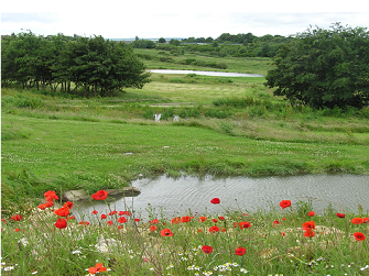 Wetland project would ease flood risk Image